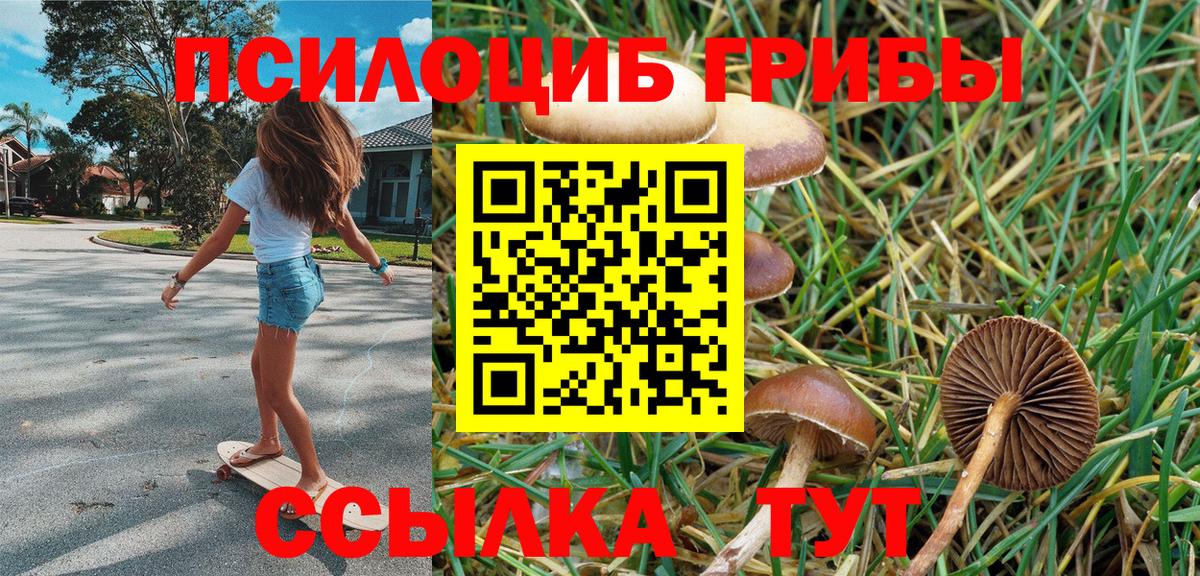 Серпухов  Псилоцибиновые грибы Psilocybine cubensis  Вход с VPN 